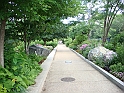 Washington DC [2009 July 03] 053